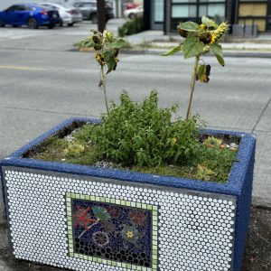 Hillman City Planter - Mosaic by Nancy Lewis